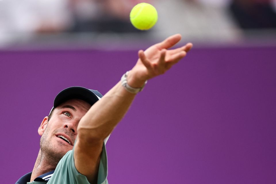 员复出后的 员复出后的